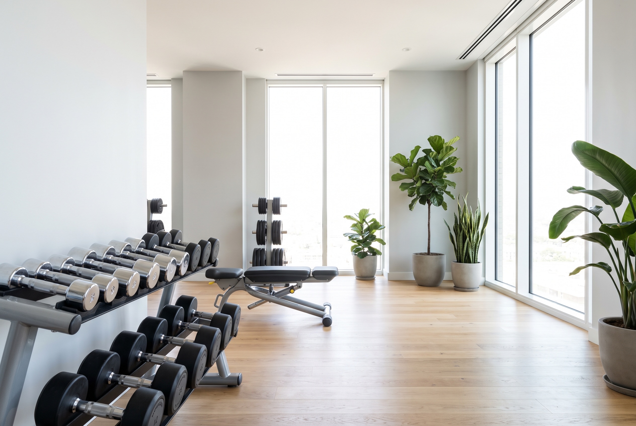 Heller Fitnessraum mit Kurzhantelablage, Hantelbank und Tageslicht